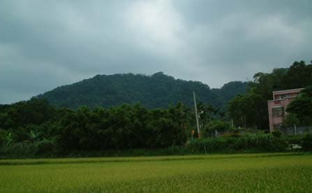 Four Guardian Formations